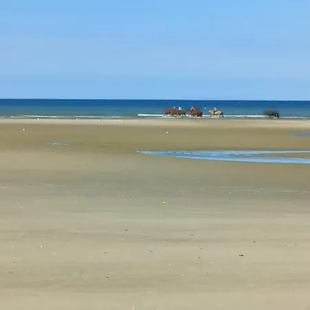 Дом отдыха Longere 'nature Et Baies' *